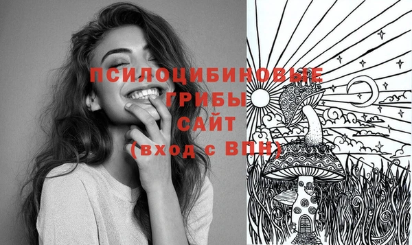 марки nbome Коряжма