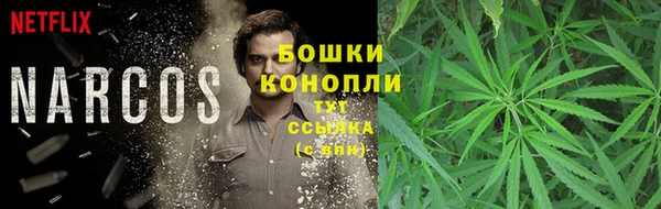 mdma Корсаков