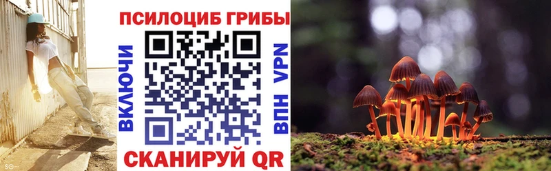 Галлюциногенные грибы Psilocybine cubensis  это состав  Можга 