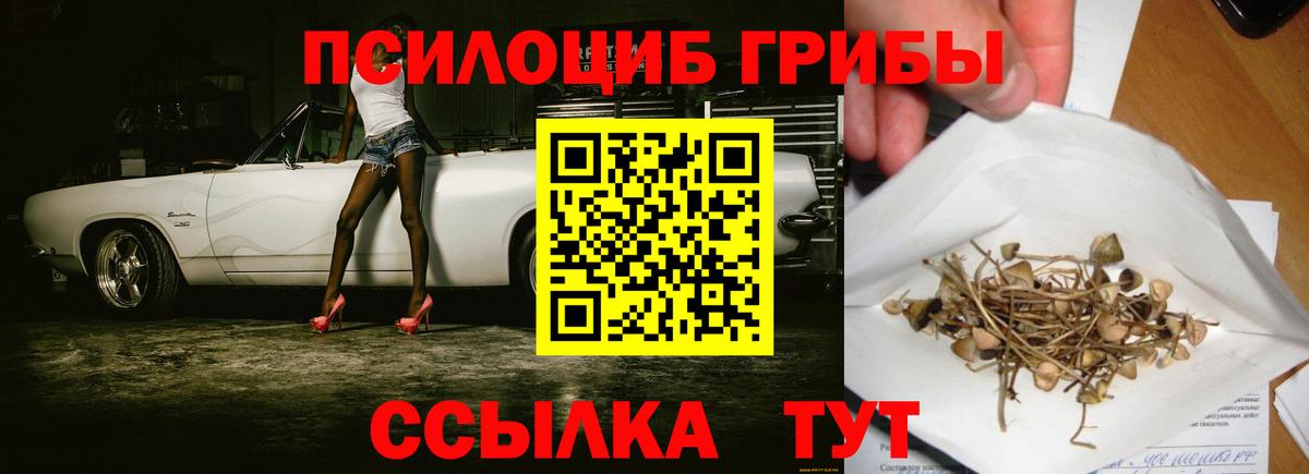 Можга  Псилоцибиновые грибы мухоморы  Вход с VPN 